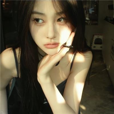 鸽之翼
