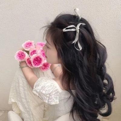 燕尾蝶